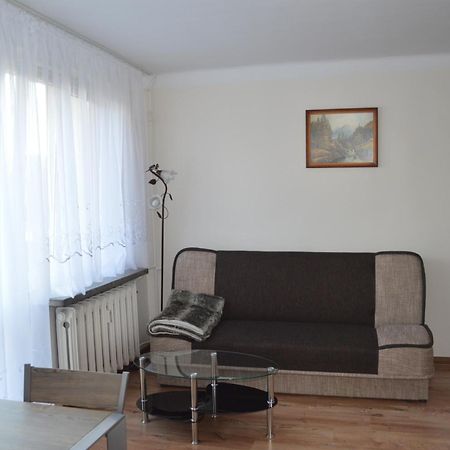 Apartament Ustrzyki Ustrzyki Dolne Buitenkant foto