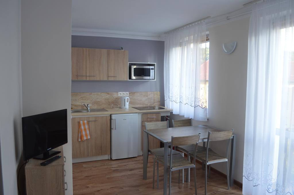 Apartament Ustrzyki Ustrzyki Dolne Buitenkant foto