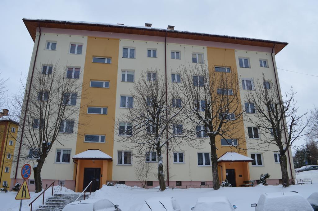 Apartament Ustrzyki Ustrzyki Dolne Buitenkant foto