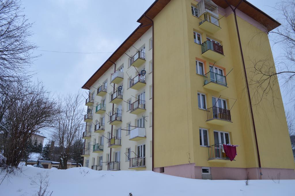 Apartament Ustrzyki Ustrzyki Dolne Buitenkant foto